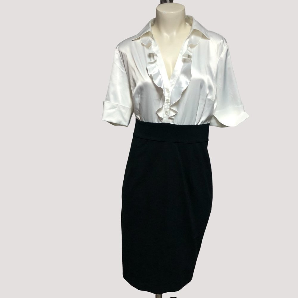 NWOT Denver Hayes Black & White Business/Cocktail Party Dress Size Large